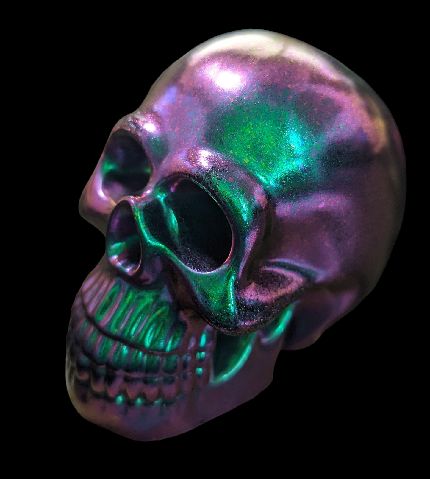 Custom Resin Skull Collection