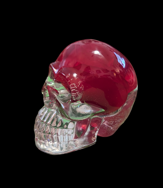 Custom Resin Skull Collection